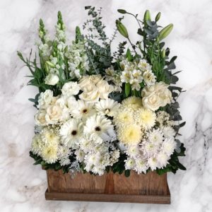 Pie de Caja Fúnebre 6