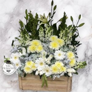 Pie de Caja Funebre